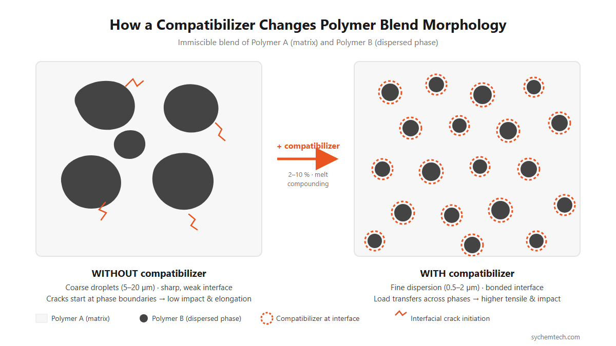 Compatibilizer at the polymer interface: immiscible blend with coarse droplets versus compatibilized blend with fine, bonded dispersed phase