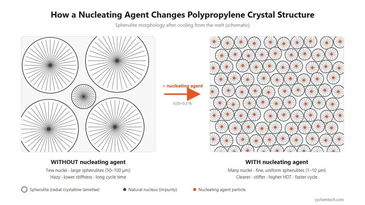 Nucleating agent effect on polypropylene spherulite size: few large spherulites without nucleating agent versus many fine spherulites with nucleator